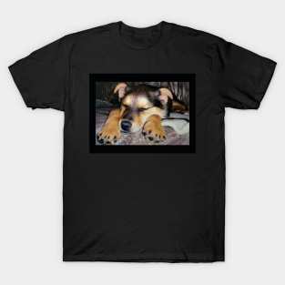 Sleeping Shepheard Puppy T-Shirt